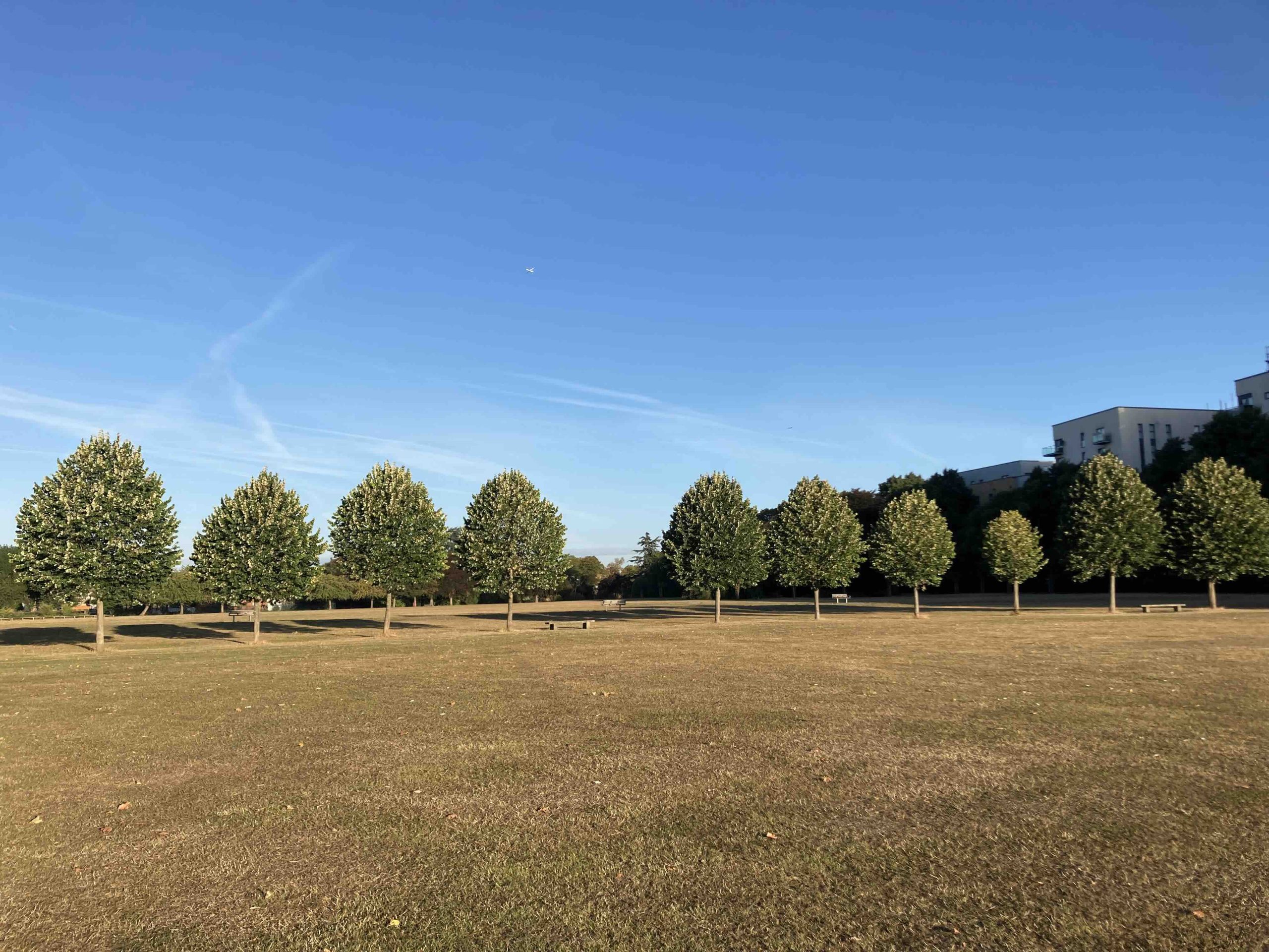 Green Flag Award for Mayesbrook Park